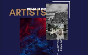 Artists Connect Inc. Strategic Plan